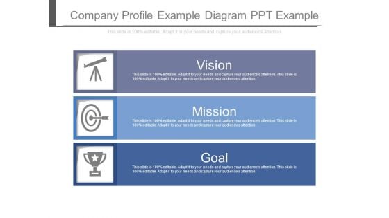 Company Profile Example Diagram Ppt Example