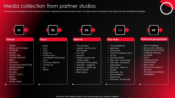Company Profile For Online Video Service Provider Media Collection From Partner Studios Summary PDF