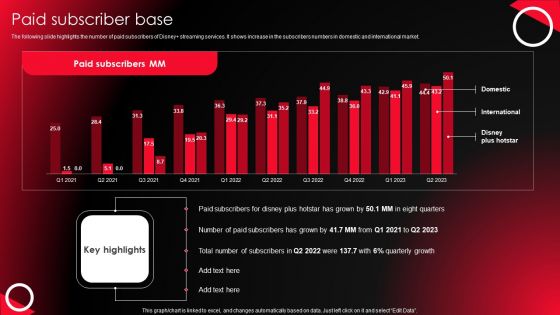 Company Profile For Online Video Service Provider Paid Subscriber Base Summary PDF