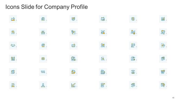Company Profile Ppt PowerPoint Presentation Complete Deck With Slides Slide45