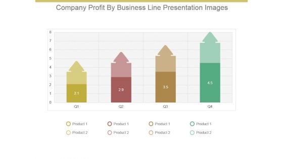 Company Profit By Business Line Presentation Images