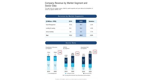 Company Revenue By Market Segment And Sector Data One Pager Documents