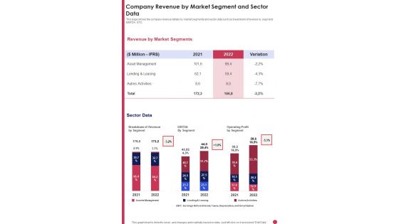 Company Revenue By Market Segment And Sector Data Template 281 One Pager Documents