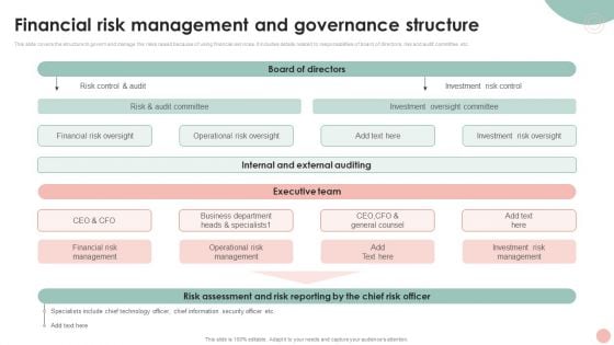 Company Risk Assessment Plan Financial Risk Management And Governance Structure Microsoft PDF