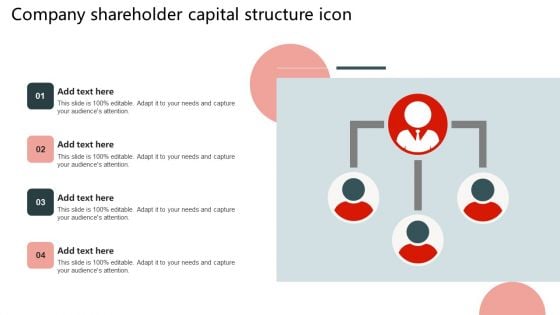 Company Shareholder Capital Structure Icon Brochure PDF