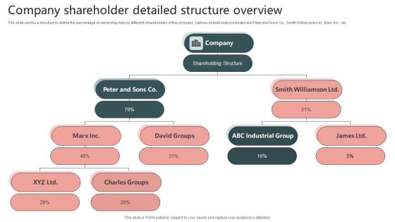 Company Shareholder Detailed Structure Overview Elements PDF