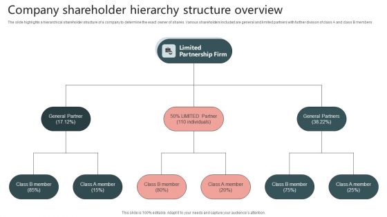 Company Shareholder Hierarchy Structure Overview Inspiration PDF