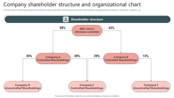 Company Shareholder Structure And Organizational Chart Graphics PDF