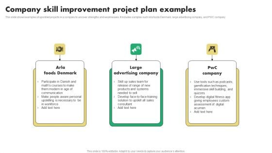 Company Skill Improvement Project Plan Examples Template PDF Company Skill Improvement Project Plan Examples Template PDF