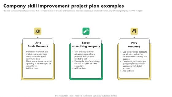 Company Skill Improvement Project Plan Examples Template PDF