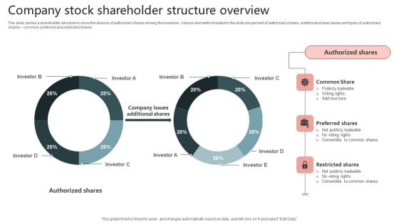 Company Stock Shareholder Structure Overview Topics PDF