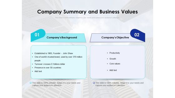 Company Summary And Business Values Ppt PowerPoint Presentation Gallery Format PDF