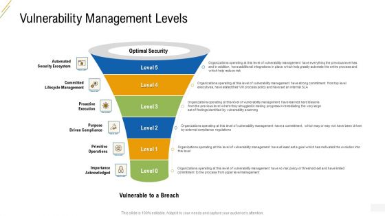 Company Vulnerability Administration Vulnerability Management Levels Elements PDF