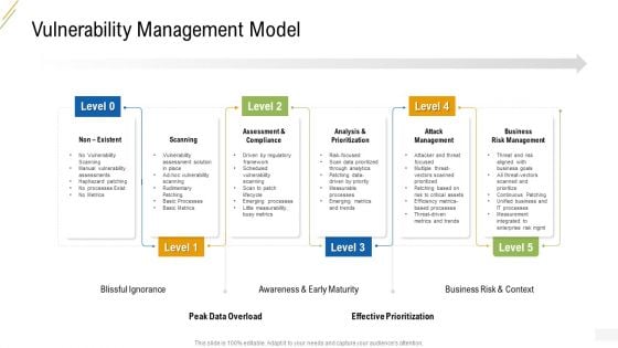 Company Vulnerability Administration Vulnerability Management Model Infographics PDF Company Vulnerability Administration Vulnerability Management Model Infographics PDF