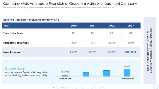 Company Wide Aggregate Financials Of Grundfom Water Management Company Background PDF