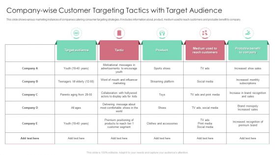 Company Wise Customer Targeting Tactics With Target Audience Ideas PDF