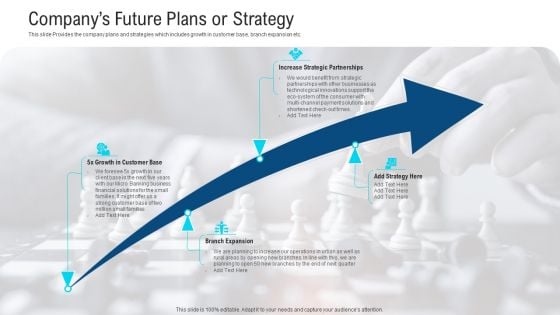 Companys Future Plans Or Strategy Ppt Styles Brochure PDF Companys Future Plans Or Strategy Ppt Styles Brochure PDF