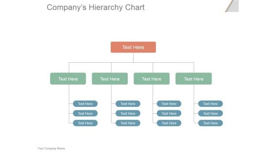 Companys Hierarchy Chart Ppt PowerPoint Presentation Portfolio