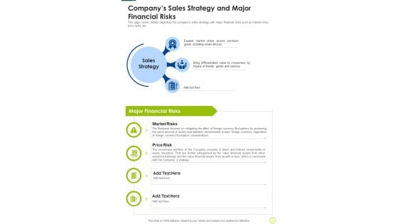 Companys Sales Strategy And Major Financial Risks One Pager Documents Companys Sales Strategy And Major Financial Risks One Pager Documents