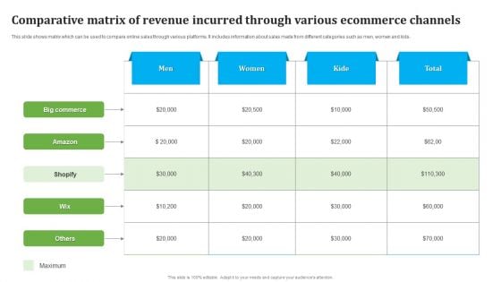 Comparative Matrix Of Revenue Incurred Through Various Ecommerce Channels Sample PDF