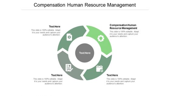 Compensation Human Resource Management Ppt PowerPoint Presentation Professional Template Cpb