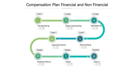 Compensation Plan Financial And Non Financial Ppt PowerPoint Presentation File Structure