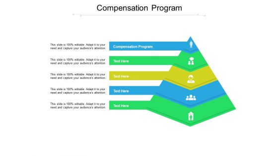 Compensation Program Ppt PowerPoint Presentation Pictures Brochure Cpb