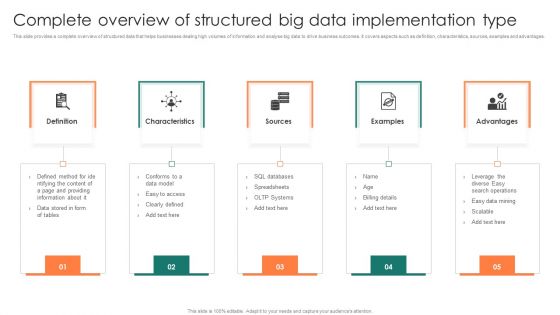 Complete Overview Of Structured Big Data Implementation Type Template PDF