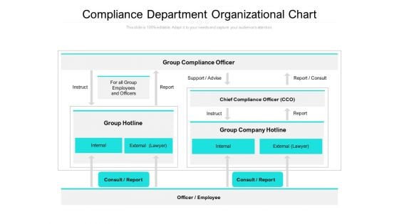 Compliance Department Organizational Chart Ppt Gallery Influencers PDF