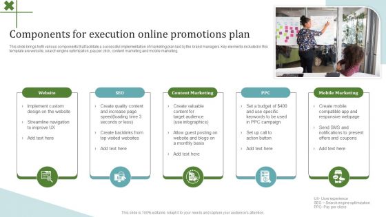 Components For Execution Online Promotions Plan Graphics PDF