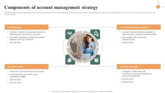 Components Of Account Management Strategy Sample PDF