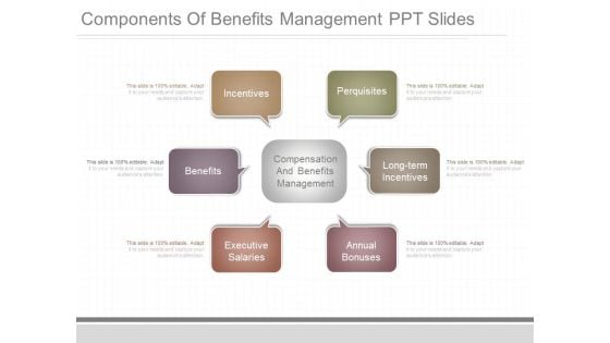 Components Of Benefits Management Ppt Slides