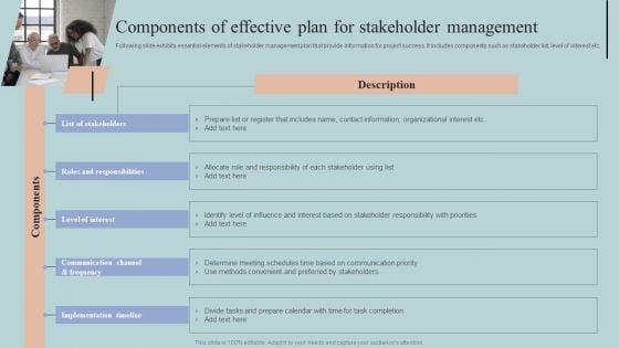 Components Of Effective Plan For Stakeholder Management Structure PDF