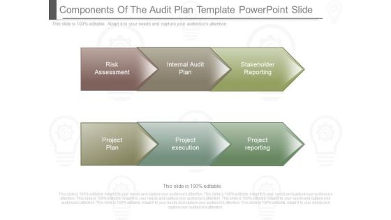 Components Of The Audit Plan Template Powerpoint Slide