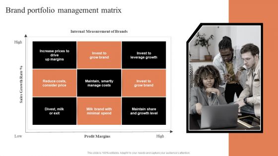 Comprehensive Guide To Manage Brand Portfolio Brand Portfolio Management Matrix Background PDF