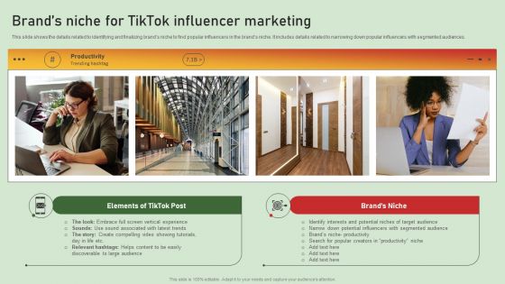 Comprehensive Influencer Promotional Guide To Improve Brand Reputation Brands Niche For Tiktok Pictures PDF