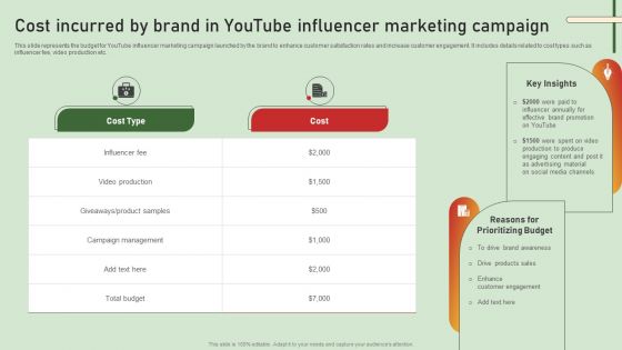 Comprehensive Influencer Promotional Guide To Improve Brand Reputation Cost Incurred By Brand In Youtube Brochure PDF