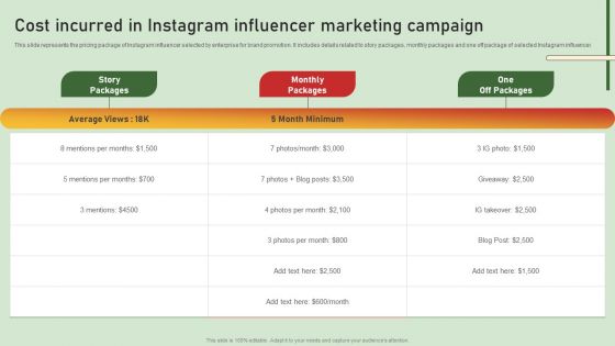 Comprehensive Influencer Promotional Guide To Improve Brand Reputation Cost Incurred In Instagram Influencer Themes PDF