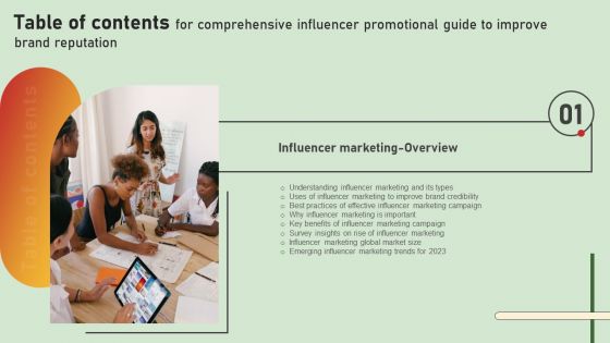 Comprehensive Influencer Promotional Guide To Improve Brand Reputation For Table Of Contents Guidelines PDF