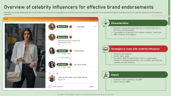Comprehensive Influencer Promotional Guide To Improve Brand Reputation Overview Of Celebrity Influencers Template PDF