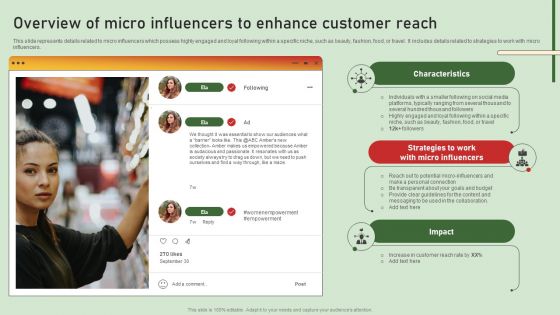 Comprehensive Influencer Promotional Guide To Improve Brand Reputation Overview Of Micro Influencers Background PDF