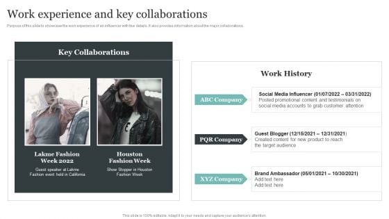 Comprehensive Personal Branding Guidelines Work Experience And Key Collaborations Themes PDF