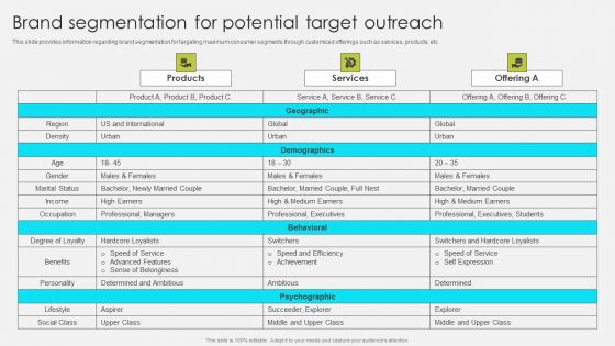 Comprehensive Promotion Guidelines To Administer Brand Brand Segmentation For Potential Target Outreach Icons PDF