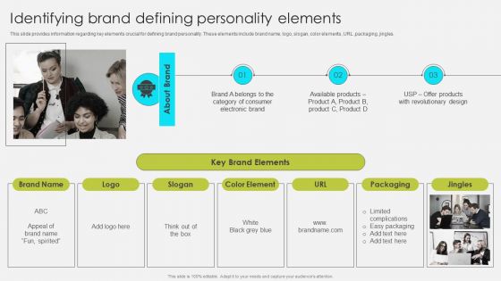 Comprehensive Promotion Guidelines To Administer Brand Identifying Brand Defining Personality Elements Topics PDF