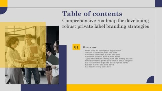 Comprehensive Roadmap For Developing Robust Private Label Branding Strategies Table Of Contents Brochure PDF