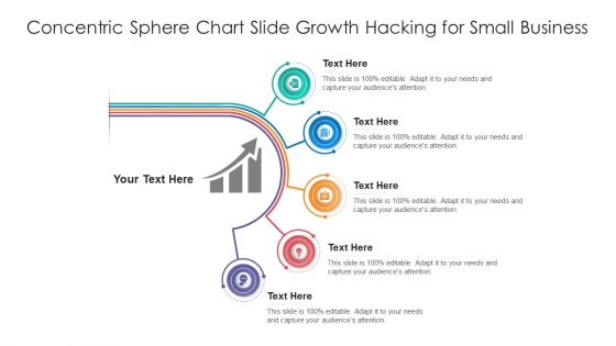 Concentric Sphere Chart Slide Growth Hacking For Small Business Ppt Ideas Designs PDF