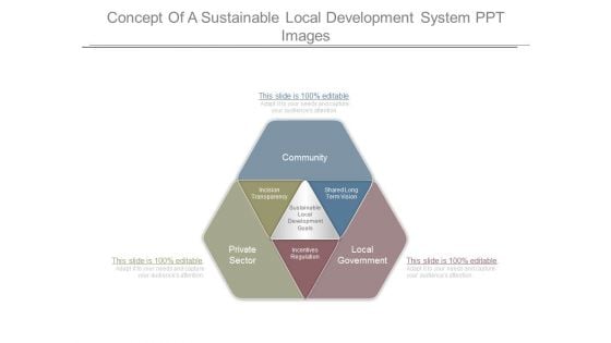Concept Of A Sustainable Local Development System Ppt Images