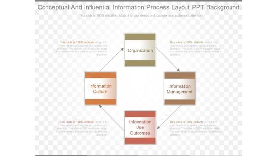 Conceptual And Influential Information Process Layout Ppt Background