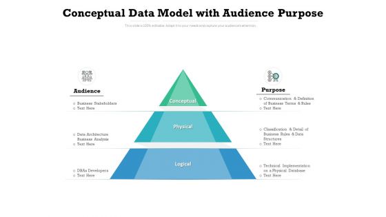 Conceptual Data Model With Audience Purpose Ppt PowerPoint Presentation Infographics Format