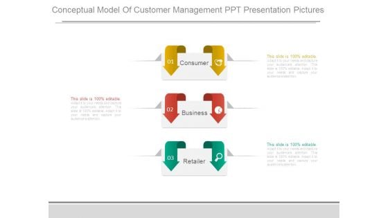 Conceptual Model Of Customer Management Ppt Presentation Pictures
